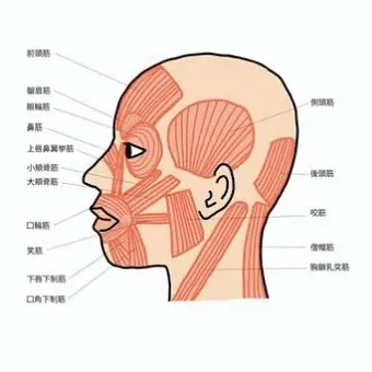 表情筋を鍛えてリフトアップ！