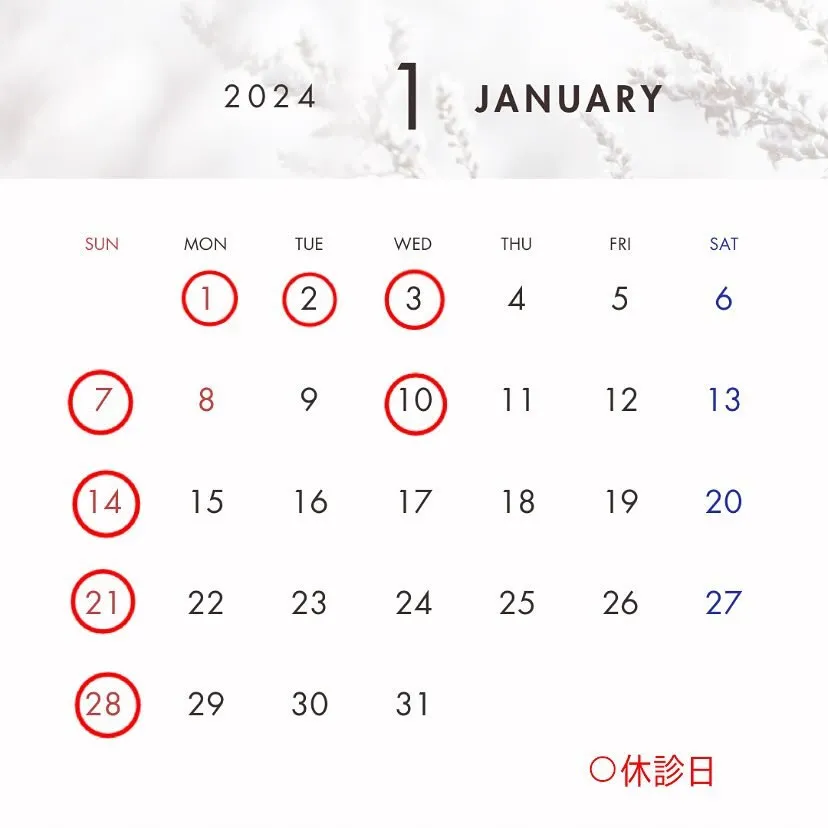 1月の休診日です✨⛄️